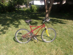 Royce Union  26" 21 speed mountain bike