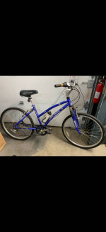 26” Eddie Bauer