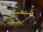 Collegiate Schwinn Bike made in Chicago