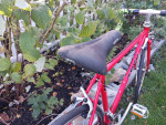 Vintage 88 Trek 400 men's road bike