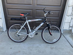 Giant Rincon SE Mountain Bike