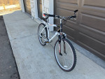 Giant Rincon SE Mountain Bike