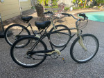Schwinn Cruisers (2)