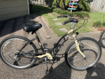 Schwinn Cruisers (2)