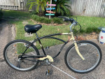Schwinn Cruisers (2)