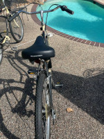 Schwinn Cruisers (2)