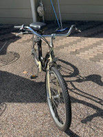 Schwinn Cruisers (2)