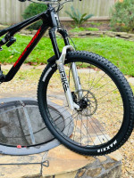 Custom build XL Nukeproof Reactor 290C