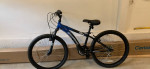 $300. Boys Youth Diamondback Cobra Bicycle, needs minor TLC, nice