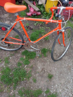 Orange bike
