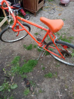 Orange bike