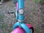 LADY'S/GIRL'S SINGLE SPEED COASTER BRAKE CRUISER BIKE SCHWINN DELMAR