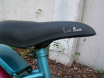 LADY'S/GIRL'S SINGLE SPEED COASTER BRAKE CRUISER BIKE SCHWINN DELMAR