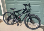 Iron Horse Warrior