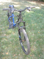 Giant Boulder SE Small
