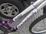 12" XXS Women's Raleigh M-20 Aluminum Mountain Bike For Sale