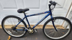 Schwinn Frontier GS