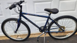 Schwinn Frontier GS