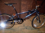 Schwinn sting