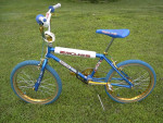 On the Hunt for CW, GT, Hutch, Kuwahara, Mongoose, Redline, and Torker