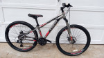 TREK 3 SERIES 3900 M/T DISC 13" X/S RAIL TRAIL PATH FUN FITNESS