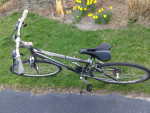 Schwinn Trailways