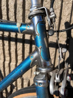 vintage Windsor Carrera Sport Single speed road bike