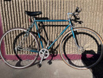 vintage Windsor Carrera Sport Single speed road bike