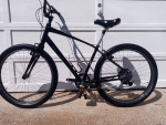 SPECIALIZED ROLL LG. TIRES FITNESS CRUISER RAIL TRAIL EXERCISE COMFORT