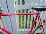 Schwinn - Worldsport