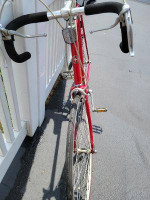 Schwinn - Worldsport