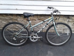 16" GT Palomar