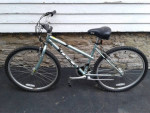 16" GT Palomar