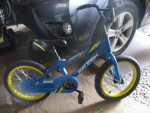 Raleigh Bike