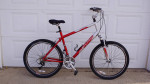 Gary Fisher Napa Mens XL Aluminum Comfort Bike