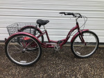 Adult Three Wheel Bike like New