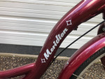 Adult Three Wheel Bike like New