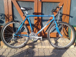 20" Raleigh Traverse