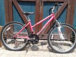 16" Diamondback Luster