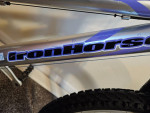 Iron Horse Girl's 24 inch Mountain Bike