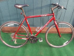 18" Trek 7.2 FX