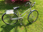Free spirit bike