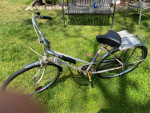 Free spirit bike