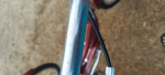 Schwinn 3 Wheel Bike