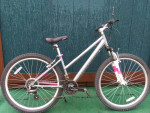 17" Diamondback Laurito