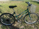Trek 820 MultiTrack Bike