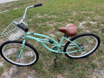 Critical Beach Cruiser