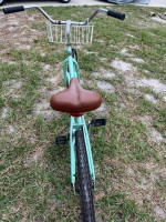 Critical Beach Cruiser