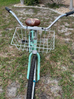 Critical Beach Cruiser