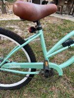 Critical Beach Cruiser